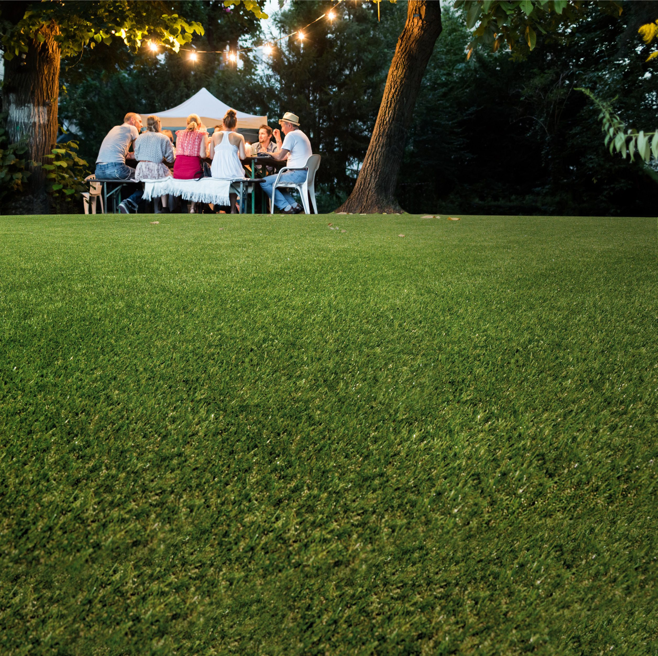Artificial Grass