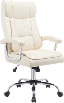 Executive Office Chair with Cushion