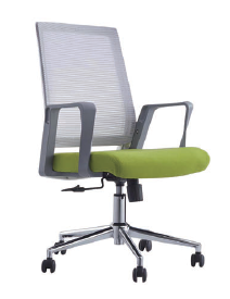Ergonomic Low-Back Chair