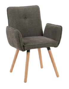 Modern Dining Chair